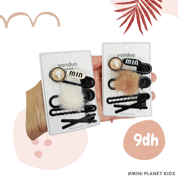 4 pièces pinces à cheveux noir